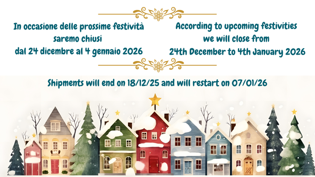 Banner Natale 2025 (640 x 360 px)