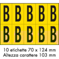 Adhesive label - 350x250 - 10 sheets / 10 labels each