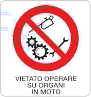 CART. ALLUM. DIVIETO F.TO MM 330x350