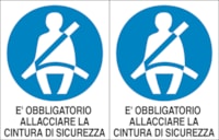 Adhesive label - Dimensions: 250 x 160 mm