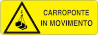 CART. ALL. F.TO MM 350X125 CARROP IN MOVIME