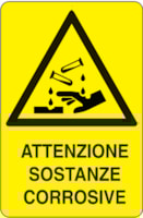 CART. ALL. F.TO MM 250X330  SOSTANZE CORROS
